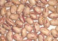 Alubia pinta 1 /2 kg
